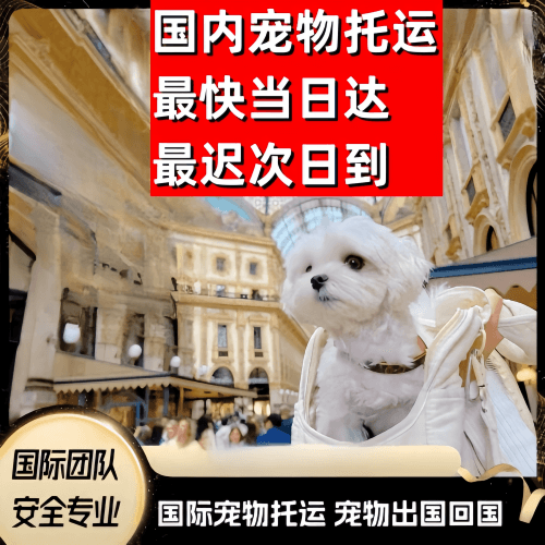 合川区到澳大利亚（澳洲）宠物入境规定和要求