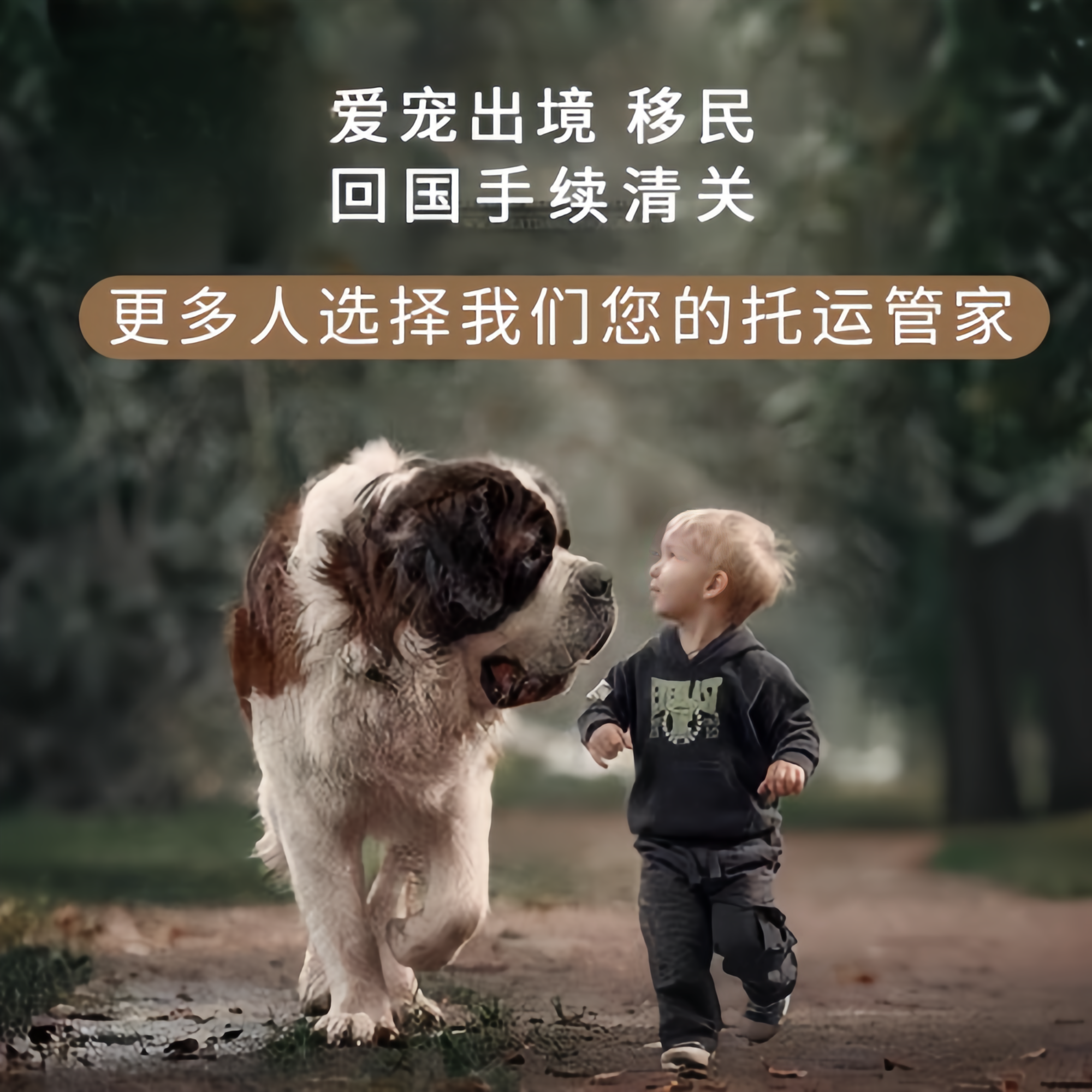 满财合川区宠物全球达宠物托运在遵守入境目的地政策的条件